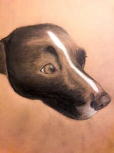 A charcoal sketch of my dog, Ripley