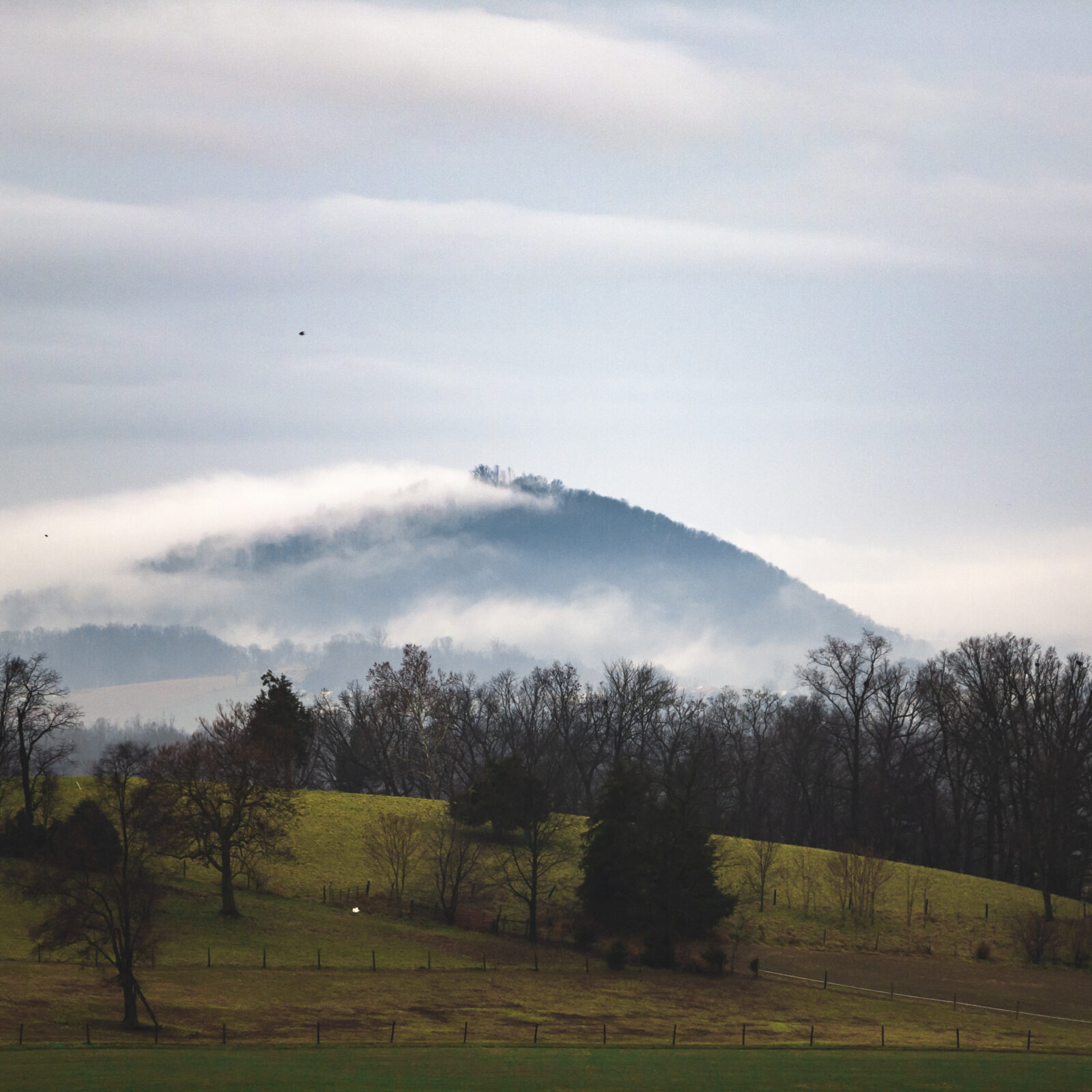 Misty mountain